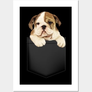 Bulldog in Pocket Funny Bulldog Posters and Art